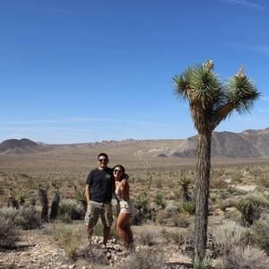 Meet your Posher, Shandiin